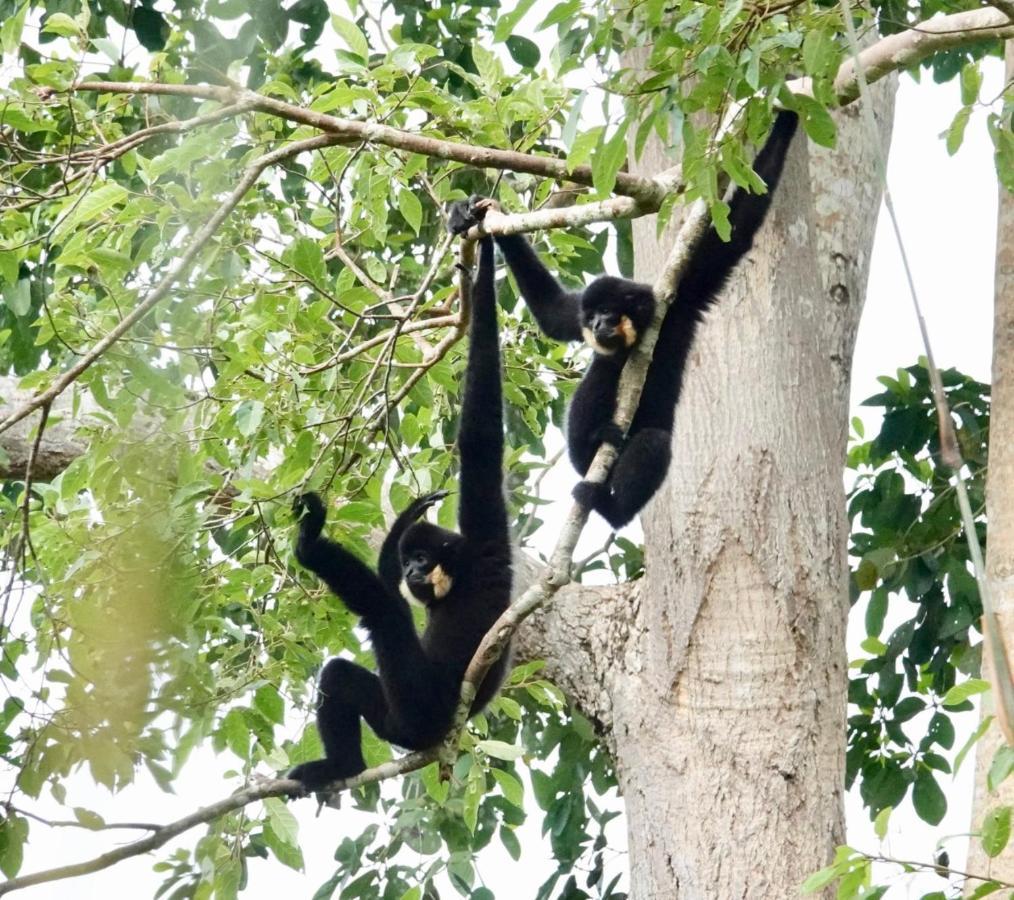 Thuy Tien Ecolodge Cát Tiên Eksteriør billede